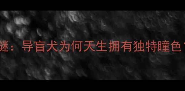 图片 金毛犬黄色眼睛之谜：导盲犬为何天生拥有独特瞳色？从遗传到护理全1