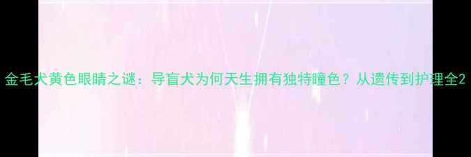 图片 金毛犬黄色眼睛之谜：导盲犬为何天生拥有独特瞳色？从遗传到护理全2