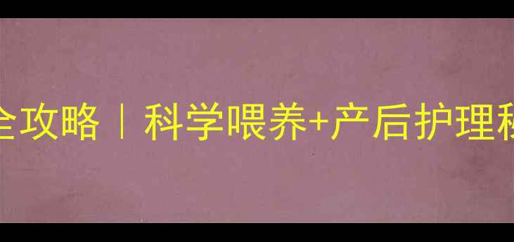 图片 金毛生育期营养补充全攻略｜科学喂养+产后护理秘籍，新手妈妈必看！
