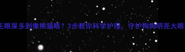 图片 金毛眼屎多到像熊猫眼？3步教你科学护理，守护狗狗明亮大眼✨1