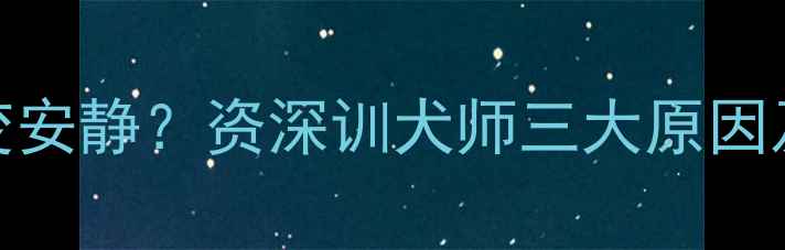 图片 金毛突然变安静？资深训犬师三大原因及应对措施