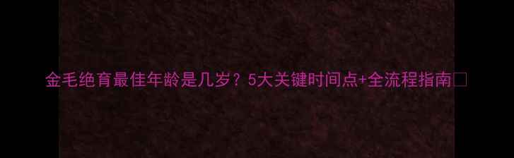 图片 金毛绝育最佳年龄是几岁？5大关键时间点+全流程指南🐾