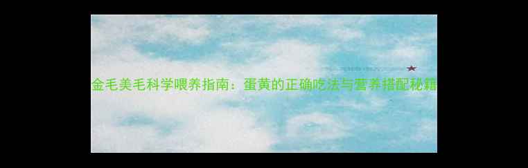 图片 金毛美毛科学喂养指南：蛋黄的正确吃法与营养搭配秘籍