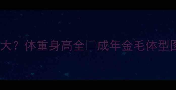 图片 金毛能长多大？体重身高全🐾成年金毛体型图+饲养指南