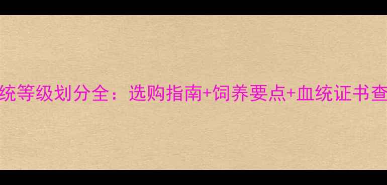 图片 金毛血统等级划分全：选购指南+饲养要点+血统证书查询方法
