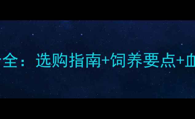 图片 金毛血统等级划分全：选购指南+饲养要点+血统证书查询方法1