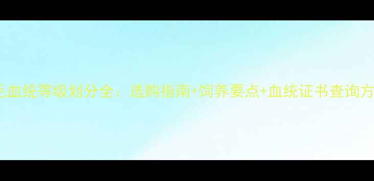 图片 金毛血统等级划分全：选购指南+饲养要点+血统证书查询方法2