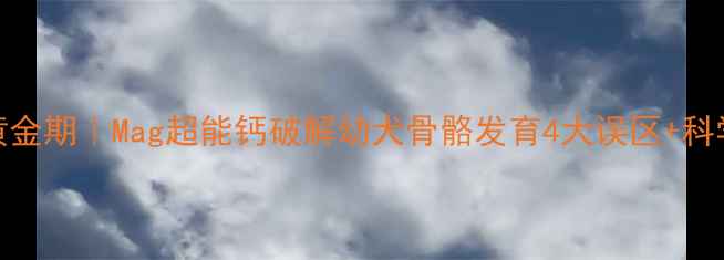 图片 金毛补钙黄金期｜Mag超能钙破解幼犬骨骼发育4大误区+科学喂养指南