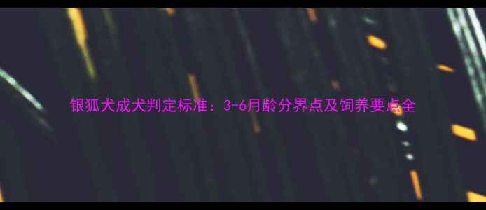 图片 银狐犬成犬判定标准：3-6月龄分界点及饲养要点全