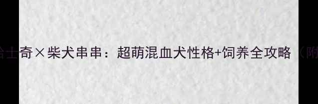 图片 阿拉斯加哈士奇×柴犬串串：超萌混血犬性格+饲养全攻略（附对比图）2