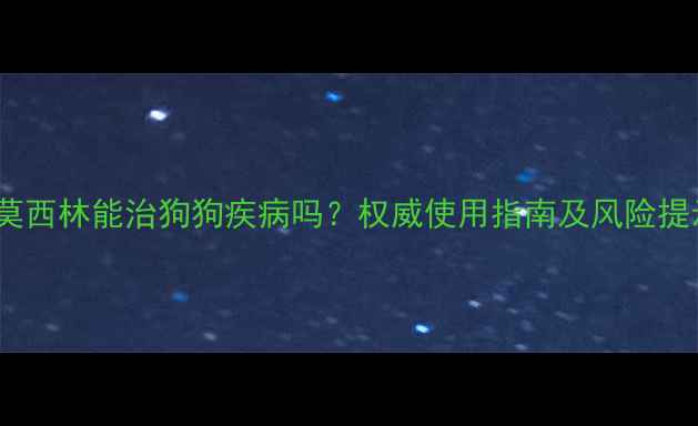 图片 阿莫西林能治狗狗疾病吗？权威使用指南及风险提示2