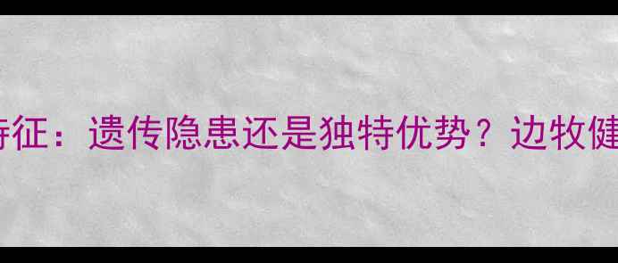 图片 陨石边牧单蓝眼特征：遗传隐患还是独特优势？边牧健康与品相全指南1