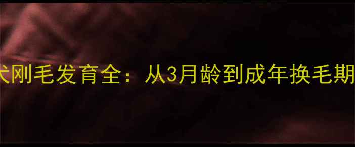 图片 雪纳瑞幼犬刚毛发育全：从3月龄到成年换毛期护理指南2