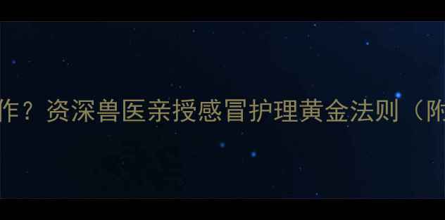 图片 雪纳瑞幼犬感冒2个月反复发作？资深兽医亲授感冒护理黄金法则（附症状自测表+家庭护理清单）