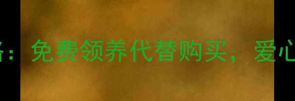 图片 青岛宠物领养群全攻略：免费领养代替购买，爱心救助指南与避坑指南1