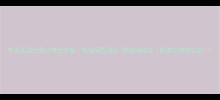 图片 青岛正规犬舍比特犬出售｜家庭领养指南+健康保障全（附疫苗接种记录）2