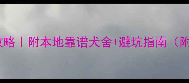 图片 鞍山边牧领养购买全攻略｜附本地靠谱犬舍+避坑指南（附领养流程+护理技巧）