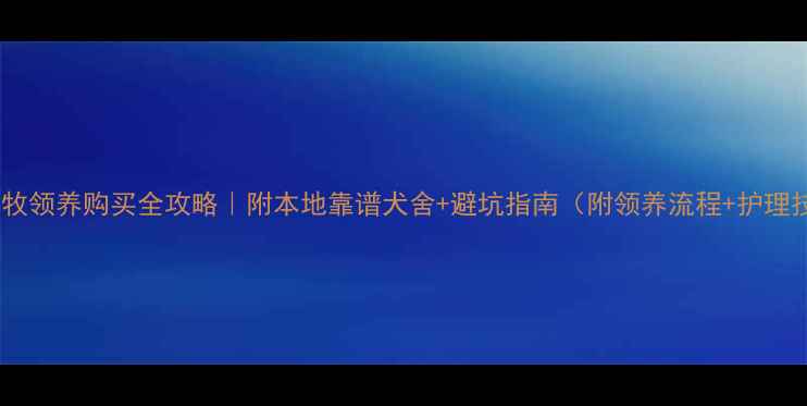 图片 鞍山边牧领养购买全攻略｜附本地靠谱犬舍+避坑指南（附领养流程+护理技巧）2