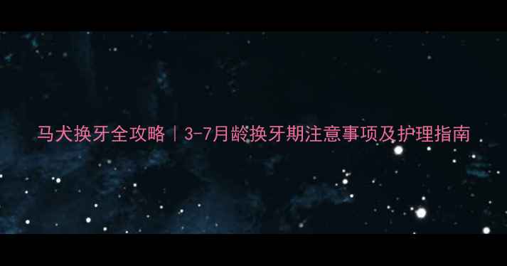 图片 马犬换牙全攻略｜3-7月龄换牙期注意事项及护理指南