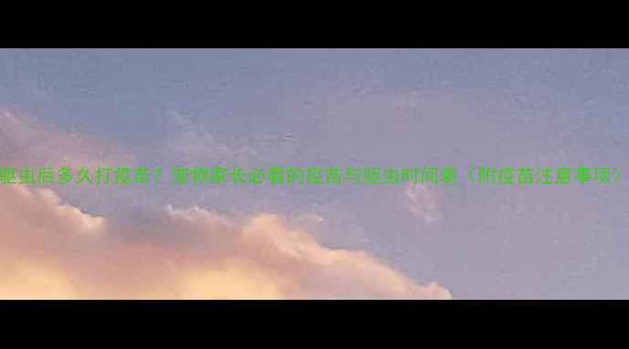 图片 驱虫后多久打疫苗？宠物家长必看的疫苗与驱虫时间表（附疫苗注意事项）