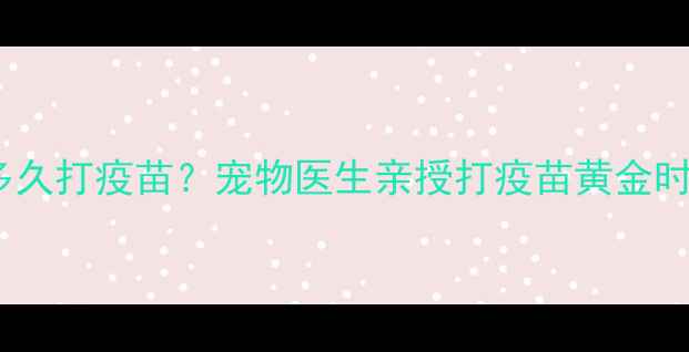 图片 驱虫药后多久打疫苗？宠物医生亲授打疫苗黄金时间表✨🐾1
