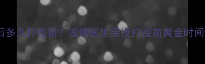 图片 驱虫药后多久打疫苗？宠物医生亲授打疫苗黄金时间表✨🐾2