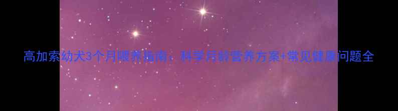 图片 高加索幼犬3个月喂养指南：科学月龄营养方案+常见健康问题全