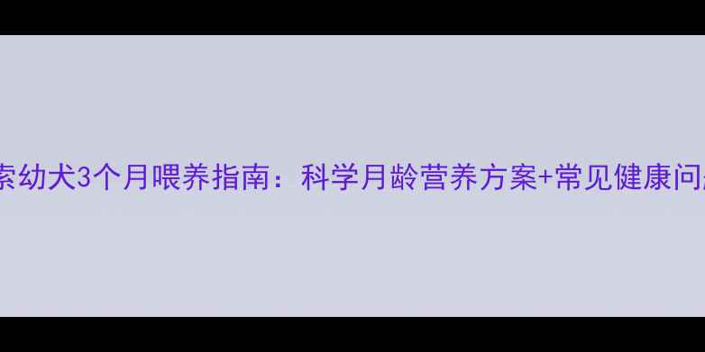 图片 高加索幼犬3个月喂养指南：科学月龄营养方案+常见健康问题全2
