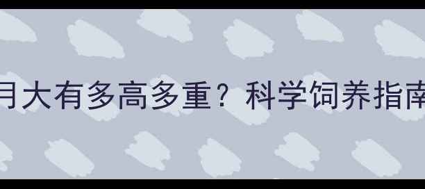 图片 高加索幼犬5个月大有多高多重？科学饲养指南与成长特征全1