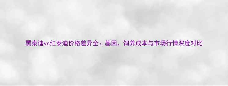 图片 黑泰迪vs红泰迪价格差异全：基因、饲养成本与市场行情深度对比