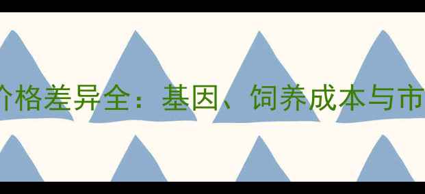 图片 黑泰迪vs红泰迪价格差异全：基因、饲养成本与市场行情深度对比1
