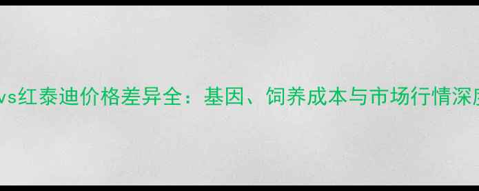 图片 黑泰迪vs红泰迪价格差异全：基因、饲养成本与市场行情深度对比2