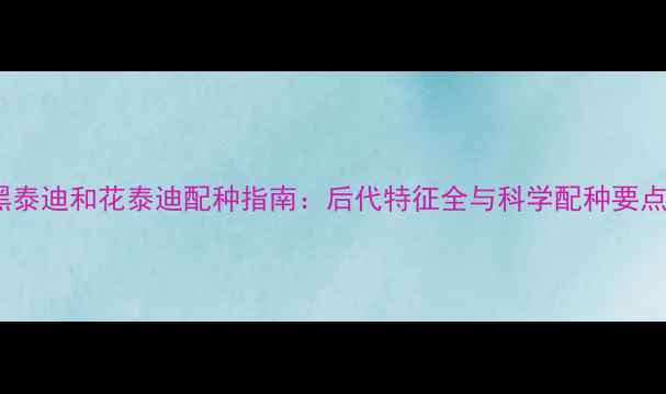 图片 黑泰迪和花泰迪配种指南：后代特征全与科学配种要点1