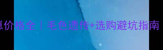 图片 黑白哈士奇幼崽价格全｜毛色遗传+选购避坑指南（附养宠清单）