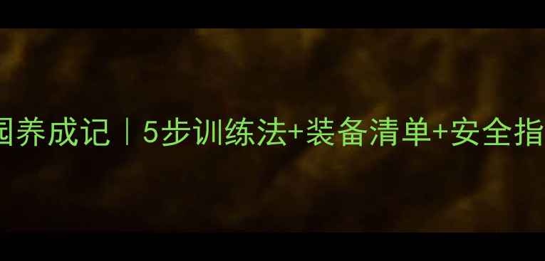 图片 🌊金毛犬水中乐园养成记｜5步训练法+装备清单+安全指南（附对比图）2