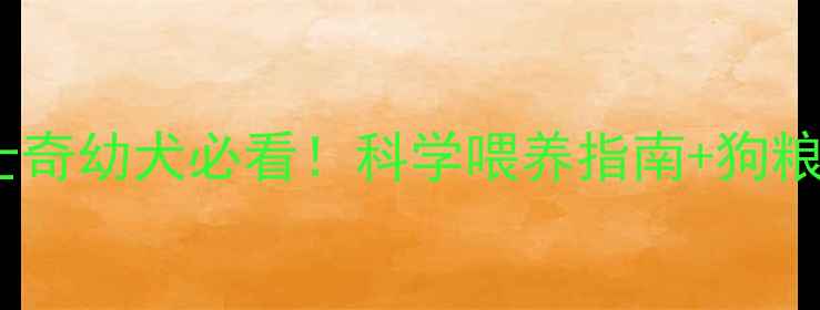 图片 🌟4个月哈士奇幼犬必看！科学喂养指南+狗粮推荐清单🐾