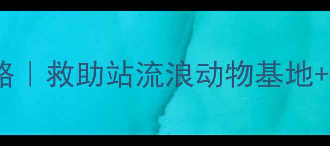 图片 🌟北京领养小狗全攻略｜救助站流浪动物基地+领养流程+避坑指南🐾