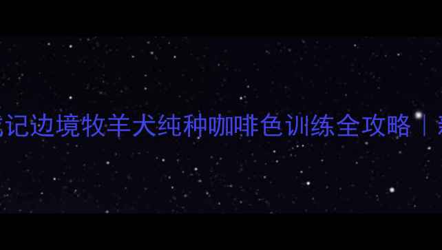 图片 🌟咖啡陨石边牧养成记边境牧羊犬纯种咖啡色训练全攻略｜新手必看养宠指南🐾