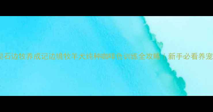 图片 🌟咖啡陨石边牧养成记边境牧羊犬纯种咖啡色训练全攻略｜新手必看养宠指南🐾2