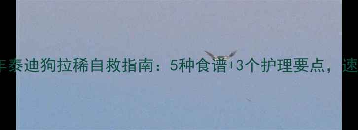 图片 🌟成年泰迪狗拉稀自救指南：5种食谱+3个护理要点，速存！1