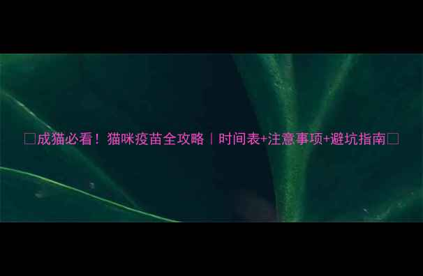 图片 🌟成猫必看！猫咪疫苗全攻略｜时间表+注意事项+避坑指南🐾