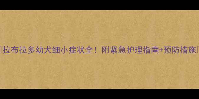 图片 🌟拉布拉多幼犬细小症状全！附紧急护理指南+预防措施🌟