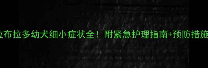 图片 🌟拉布拉多幼犬细小症状全！附紧急护理指南+预防措施🌟2