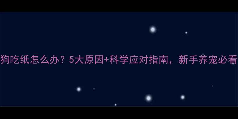 图片 🌟狗狗吃纸怎么办？5大原因+科学应对指南，新手养宠必看！🐾