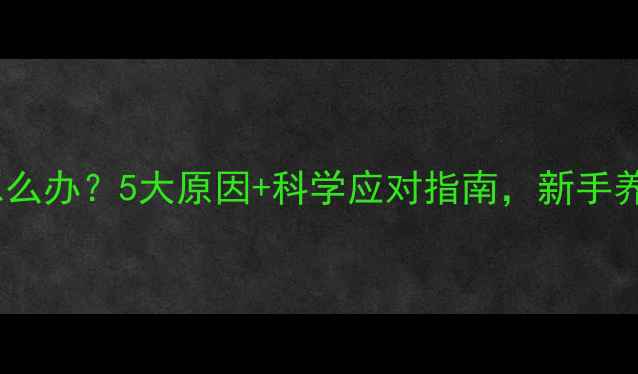 图片 🌟狗狗吃纸怎么办？5大原因+科学应对指南，新手养宠必看！🐾2