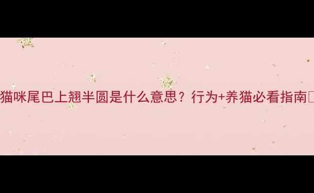 图片 🌟猫咪尾巴上翘半圆是什么意思？行为+养猫必看指南🐾1