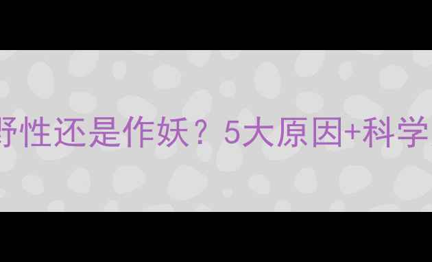 图片 🌟猫咪带老鼠回来是野性还是作妖？5大原因+科学应对指南｜养猫必看2