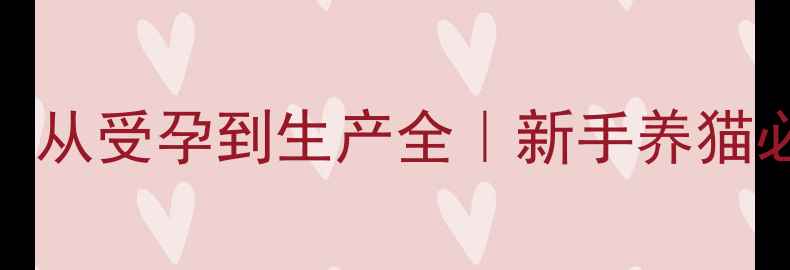 图片 🌟猫咪怀孕时间表：从受孕到生产全｜新手养猫必看孕期护理攻略🐾