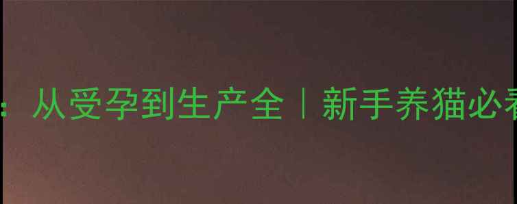 图片 🌟猫咪怀孕时间表：从受孕到生产全｜新手养猫必看孕期护理攻略🐾1