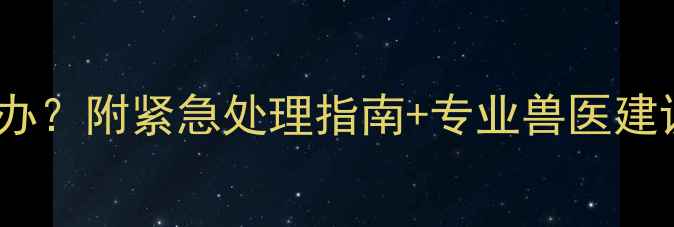 图片 🌟猫咪皮肤溃烂怎么办？附紧急处理指南+专业兽医建议（附真实对比图）1